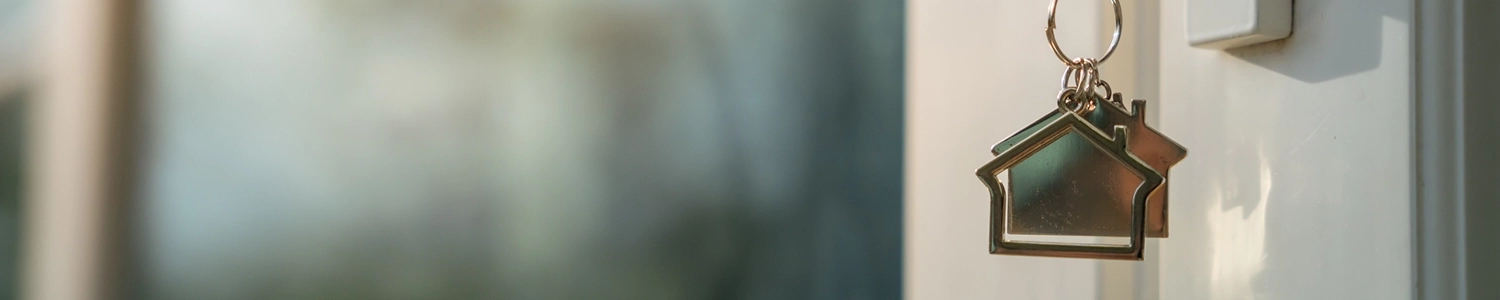 Banner image